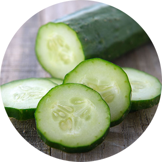 季節の野菜